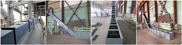 Customized New Carbon Steel System Scraper Chemical Embedded Grain Chain Drag Conveyor