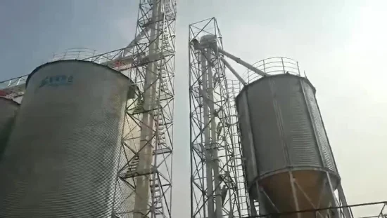 Sistema de carregamento de elevador de grãos personalizado de fábrica da China Shelley